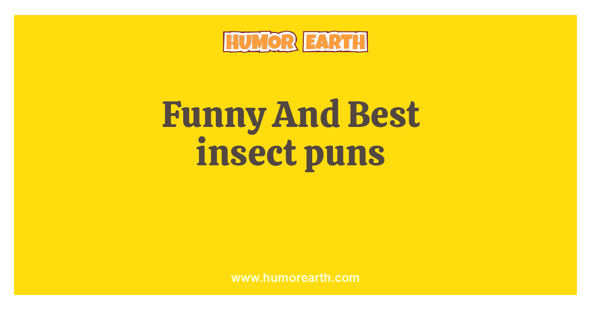 Insect Puns