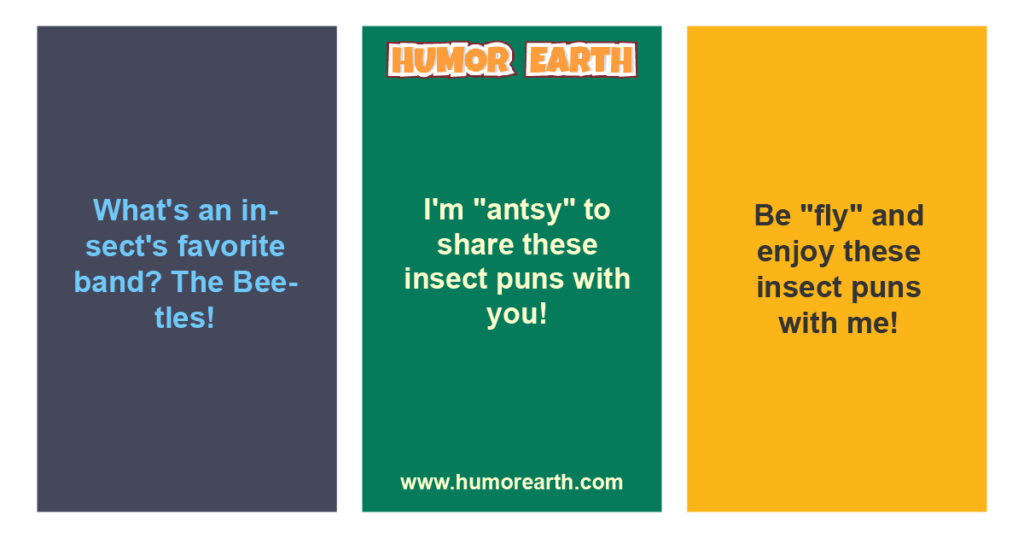 One-liner Insect Puns for Instagram